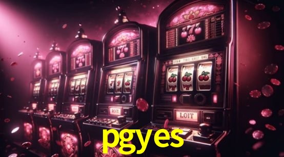Programa VIP pgyes