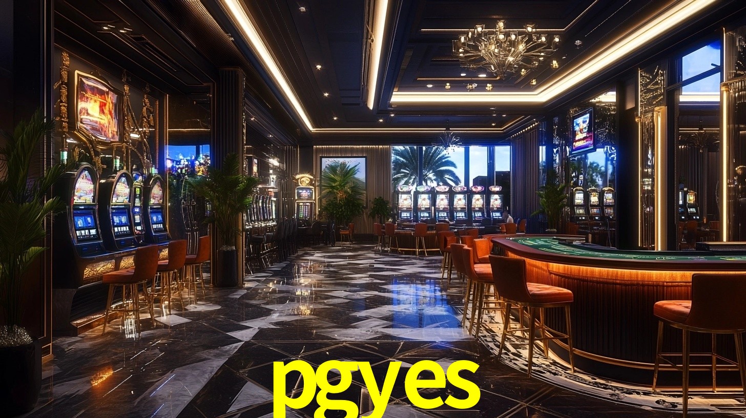 Premium Interface pgyes
